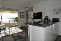 Cannes Rentals, rental apartments and houses in Cannes, France, copyrights John and John Real Estate, picture Ref 065-11
