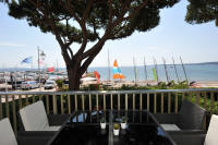 Cannes Rentals, rental apartments and houses in Cannes, France, copyrights John and John Real Estate, picture Ref 318-02